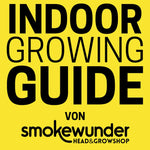 Ein grober Leitfaden für den erfolgreichen Indoor-Grow