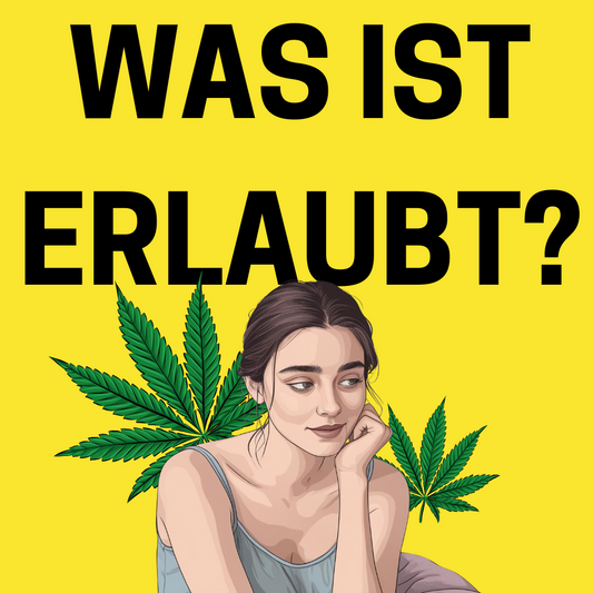 CBD & Cannabis in Deutschland 2025 – Das musst du zur aktuellen Rechtslage wissen