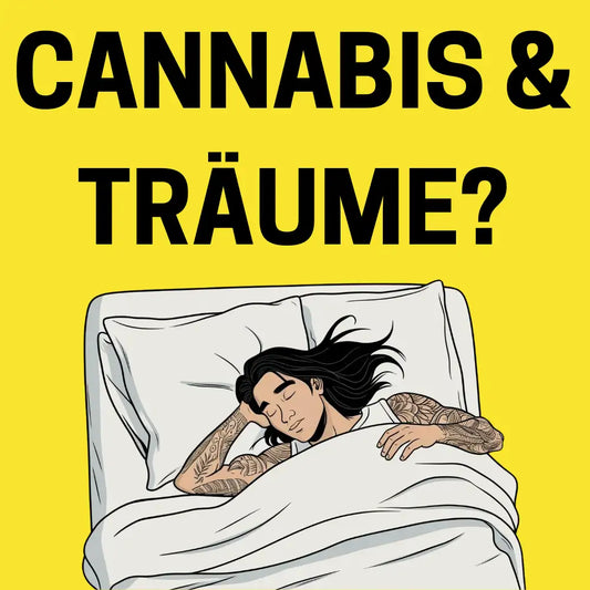 Cannabis, Träume und die Rolle der Verdampfungstemperatur