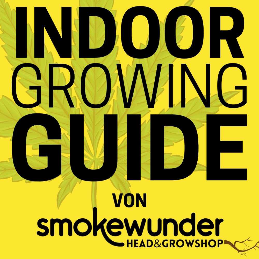 Ein grober Leitfaden für den erfolgreichen Indoor-Grow